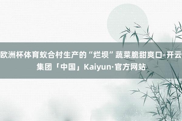 欧洲杯体育蚁合村生产的“烂坝”蔬菜脆甜爽口-开云集团「中国」Kaiyun·官方网站