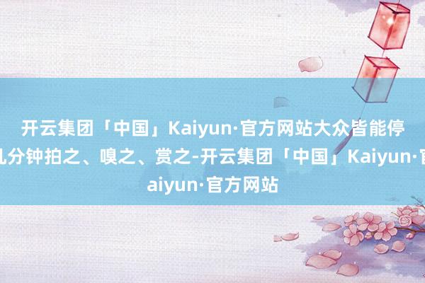 开云集团「中国」Kaiyun·官方网站大众皆能停驻来花几分钟拍之、嗅之、赏之-开云集团「中国」Kaiyun·官方网站